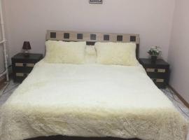 Apartament simplu si confortabil, hotel cerca de Staţia de Cale Ferată Chişinău, Chişinău