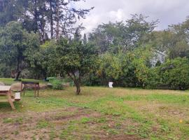 יערה בכפר קרוב לנחל