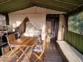 LODGES SAFARI LES LAURIERS SUR îLE DU LEVANT