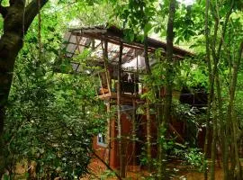 Back of Beyond - Jungle Hideaway, Pidurangala