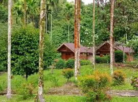 Green Lodge Tangkahan