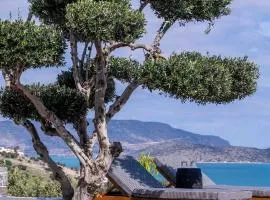 The Olive Tree Villa Elounda