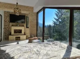 Penthouse luxury Predeal View