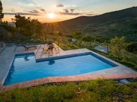 fringuello - Mandorlo