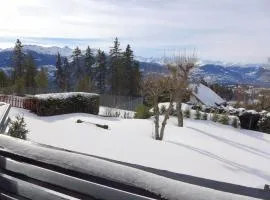 Apartment Cransalpin Apt- 3 - Secteur 1 by Interhome