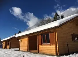 Chalet Stressless by Interhome