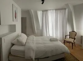 Duplex dernier étage avec terasse à deux pas de la grand place