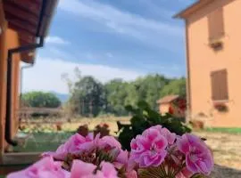 La Cascina della Vachina