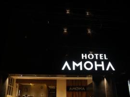 Hotel Amoha, готель у місті Палні