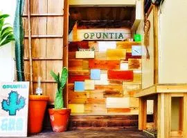 ゲストハウス オプンティア Guesthouse Opuntia
