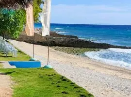 Aloha