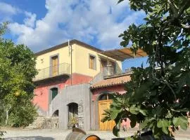 Tenuta Madonnina