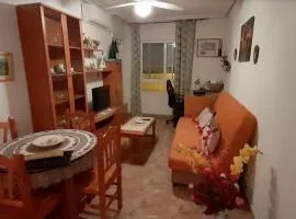 Apartamentos La Paz VIII