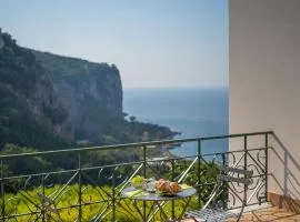 Villa La Pagaia Sorrento Coast