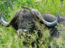 Inyati Game Lodge, lodge in Sabi Sand Game Reserve