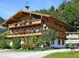 Appartement Höllwarthof, Ferienwohnung in Goldegg im Pongau