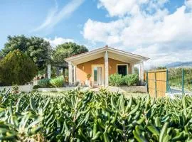 Villa Aelia - A Peaceful And Private Place
