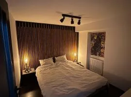 Retro Retreat - Free Parking - 20 min to Center