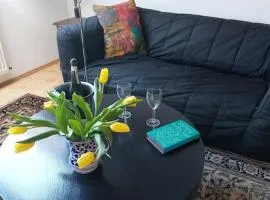 Helle ruhige Zimmer zu vermieten