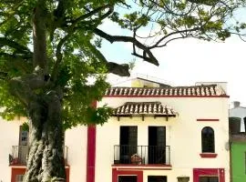 Hotel Aroma del Bosque Posada Cafe