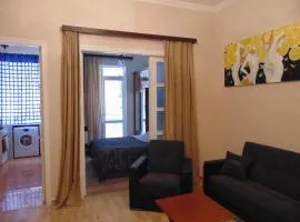 Apartment in the center of the city - Vera