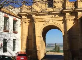 Puerta Romana