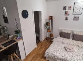 Apartman Delena