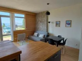 Bel appartement 45m2 rez de chaussée plein sud