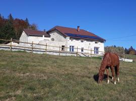 Gîte des 3 Marches: Lamoura şehrinde bir otel