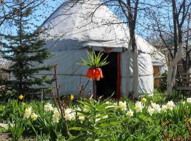 Karakol Yurts Camp แกลมปิ้งในคาราโคล