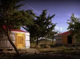 Campo de Reyes