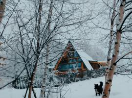 Triangle House Parang, hotel cerca de Teleférico de Parâng, Petroşani