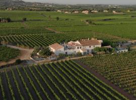 Boutique Wine Farm in vineyards near Barcelona, hotel en Torrelles de Foix