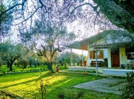 Nafpaktos cottage by the sea for travelers and dreamers!