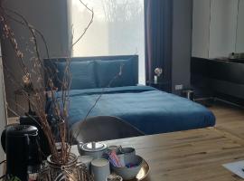 Bed & Wellness Boxtel, luxe kamer met airco en eigen badkamer: Boxtel şehrinde bir otel