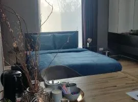 Bed & Wellness Boxtel, luxe kamer met airco en eigen badkamer