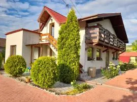 Casa cu flori