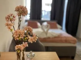 Central Cosy Apartment in Cologne