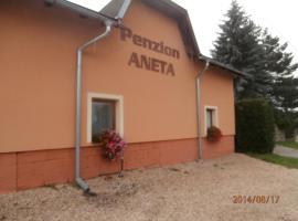 Penzion Aneta, hostal o pensión en Svijany