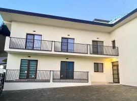 Alpin House Colibita