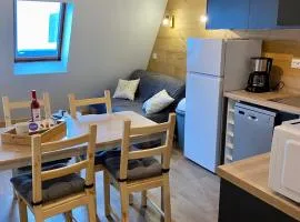 Appartement 4 à 5 personnes au pied des pistes