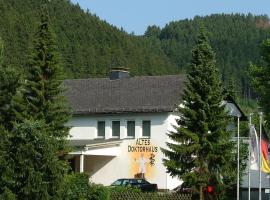 Altes Doktorhaus - Hotel Garni, hotel v destinácii Willingen