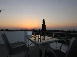 Stellina's House