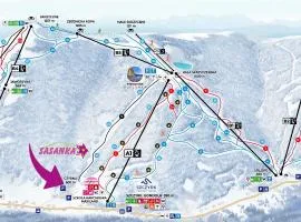 Sasanka przy Gondoli