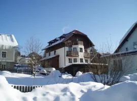 Apartmany Železná Ruda