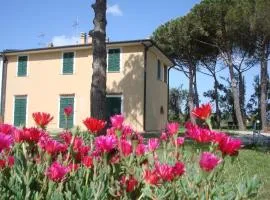Casa Vacanze Vignarca - Località Perelli