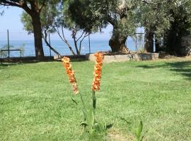 Small Sunset View apartment, apartment in Afissos