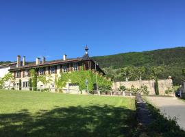 Clos de Mont July, chambres avec vue et terrasse dans demeure historique, hotel barato en Ceyzériat