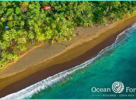 Ocean Forest Ecolodge, beach hotel in San Pedrillo