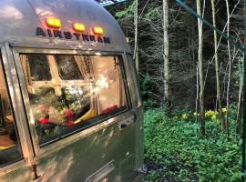 Airstream Woodland Escape, holiday home in Galston